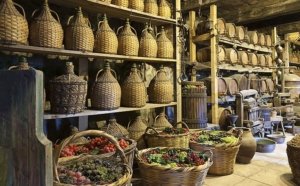 Nemea Winery