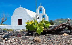 Corinth & Nemea Wine Roads